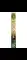 30 CM Green